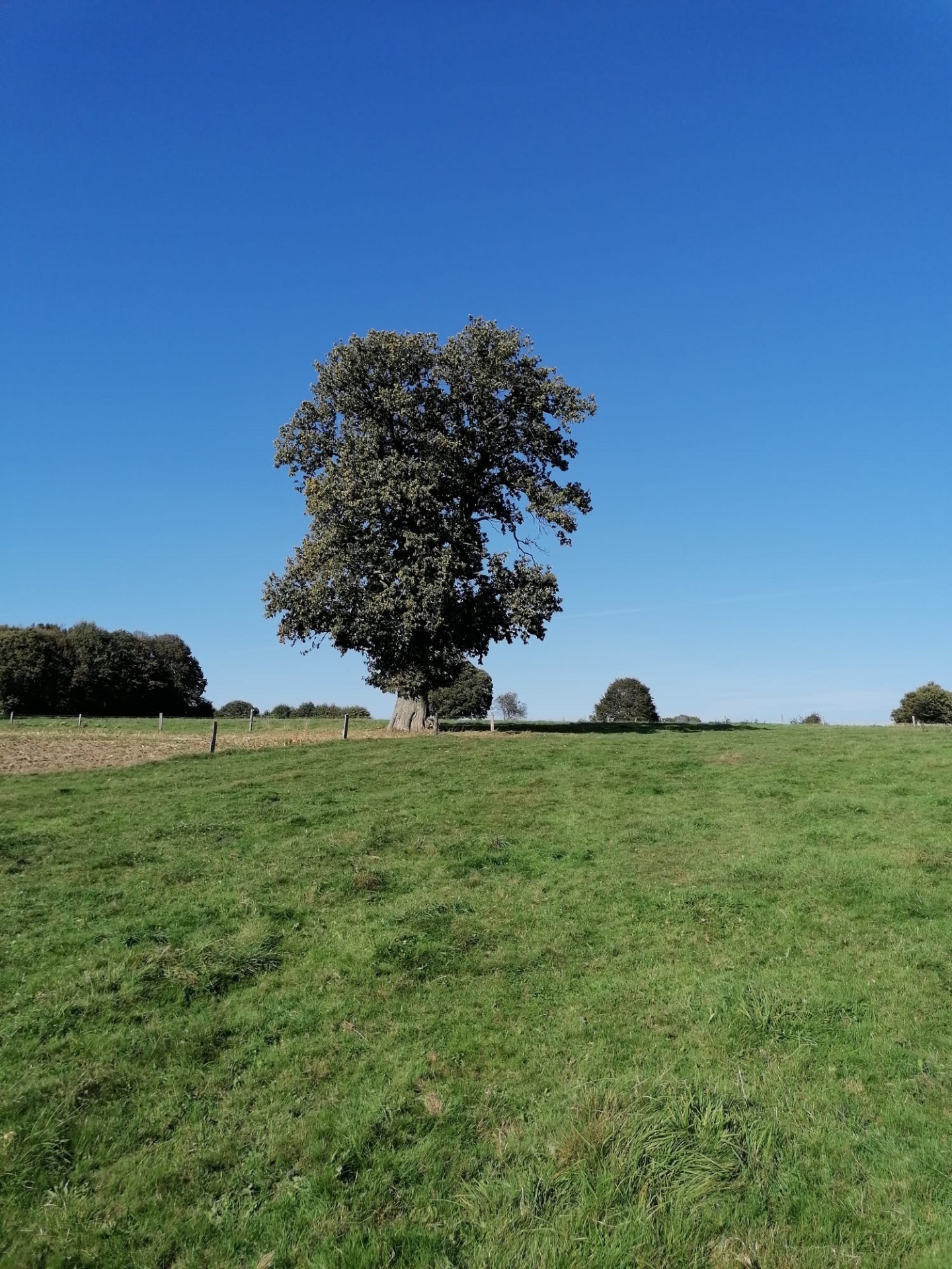 Propriété