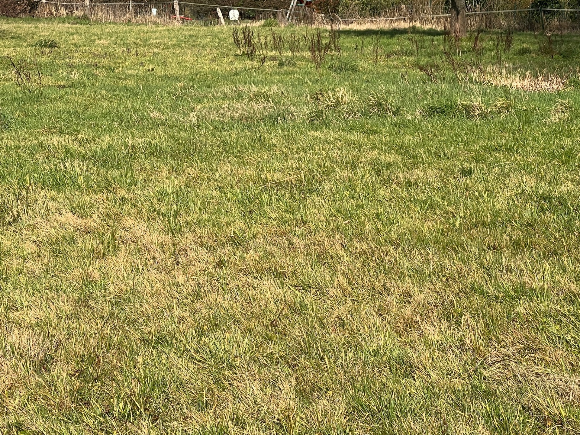 Terrain
