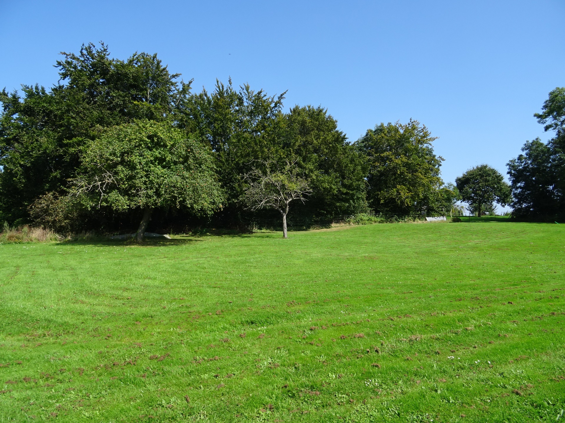 Terrain