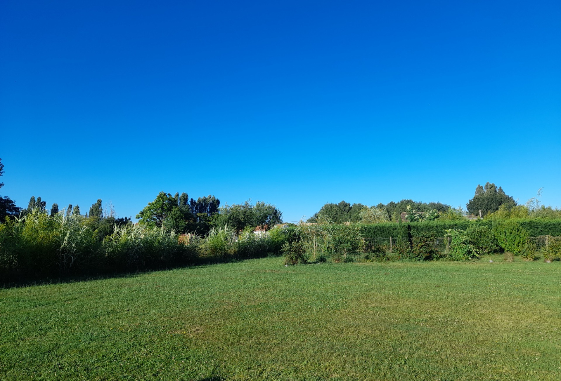 Terrain