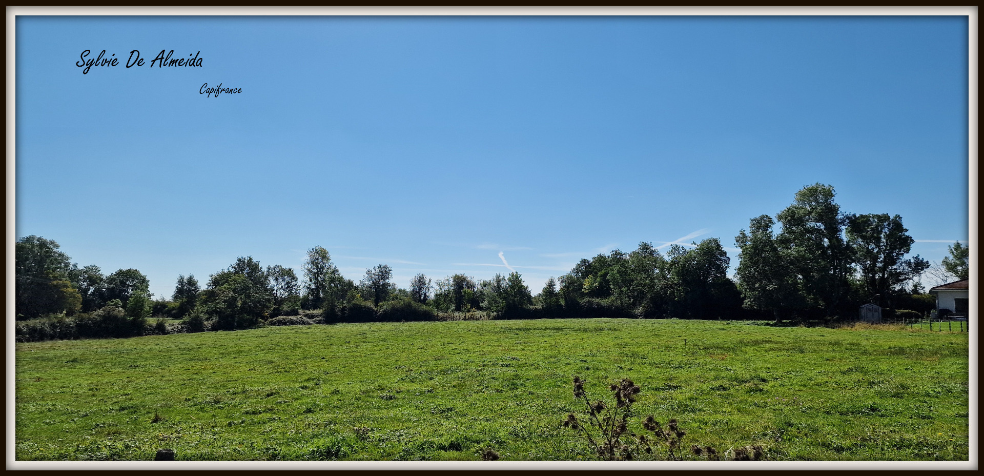 Terrain