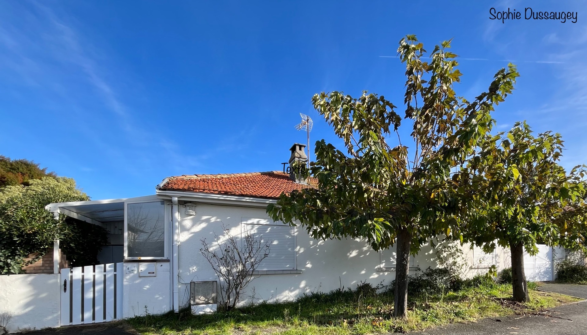 Maison