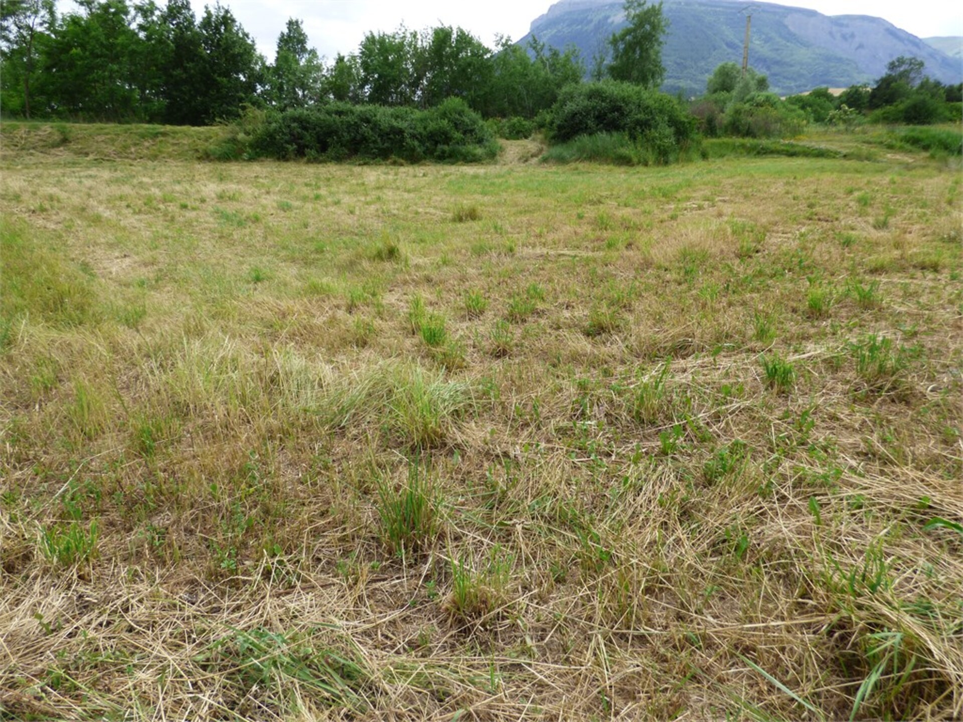 Terrain
