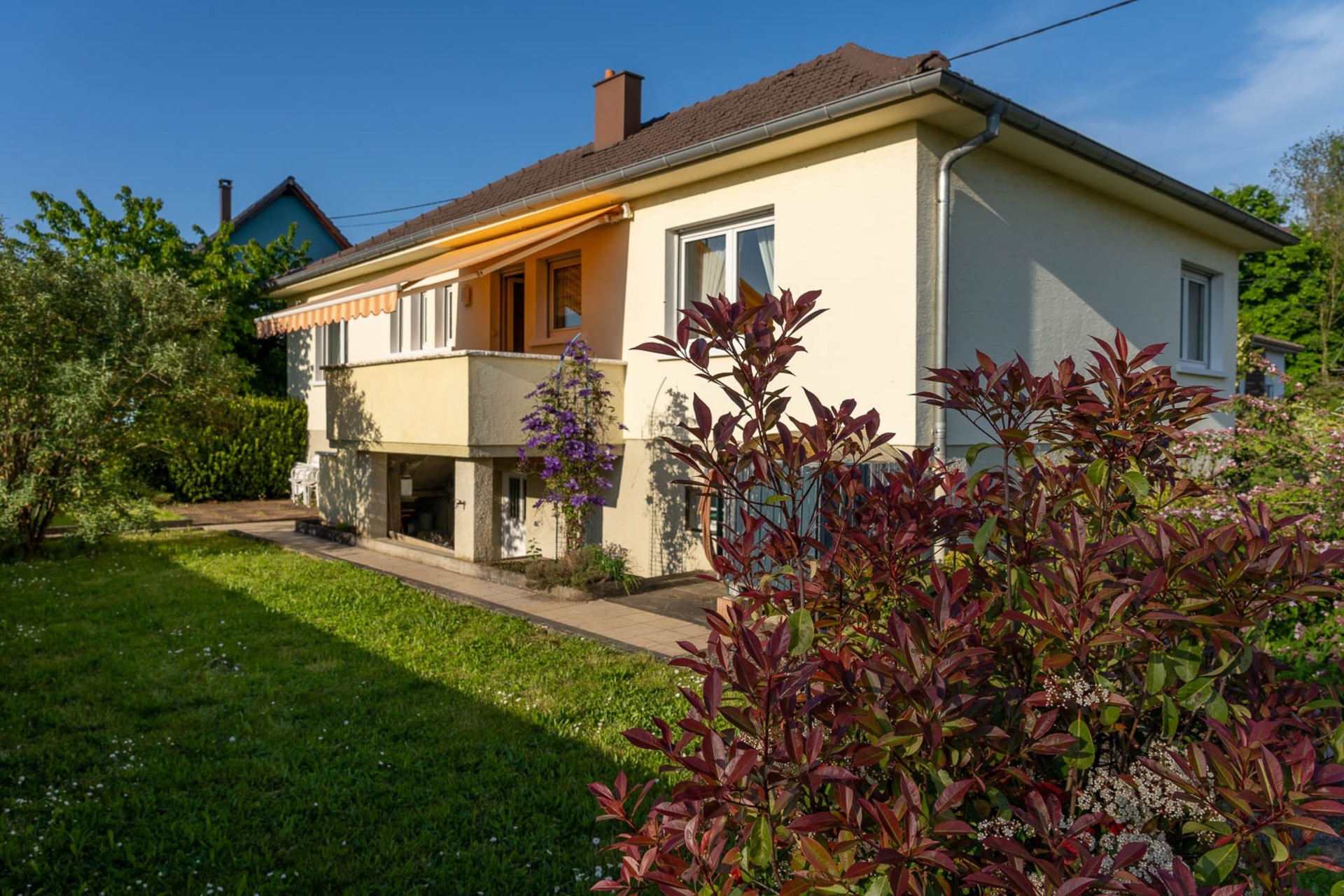 Maison