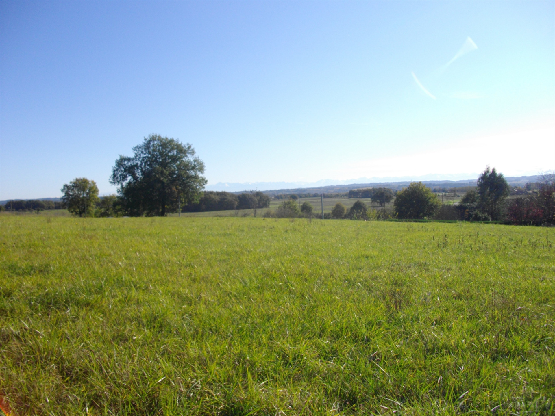 Terrain