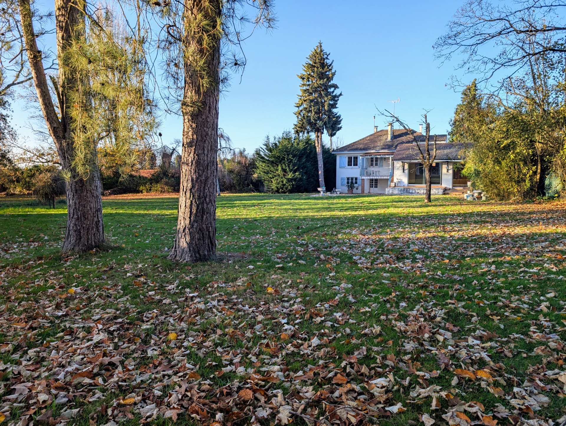 Maison