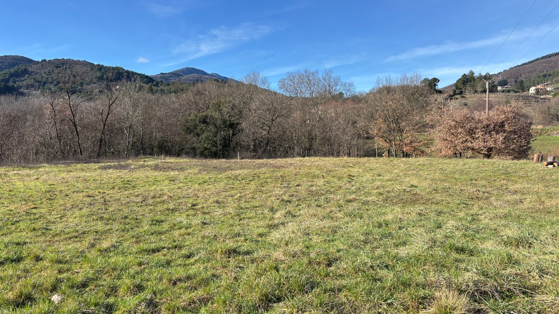 Terrain