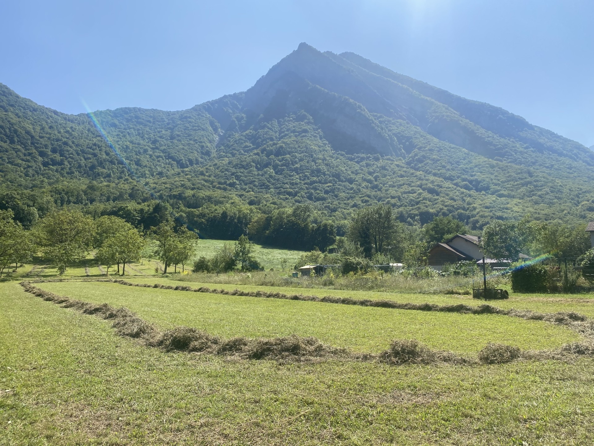 Terrain