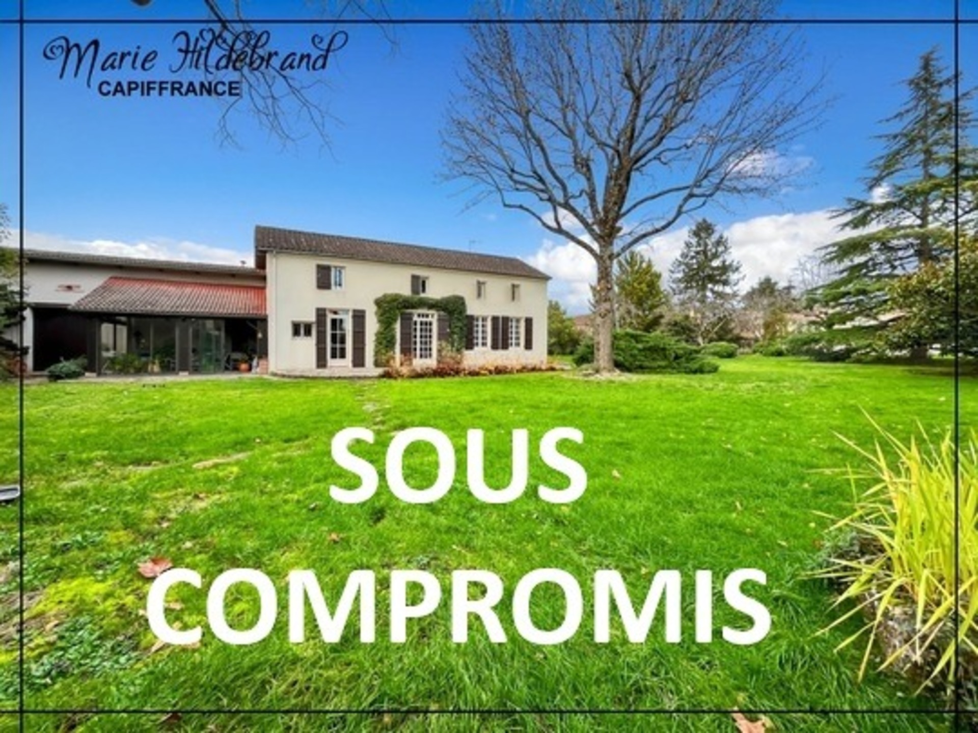 Maison