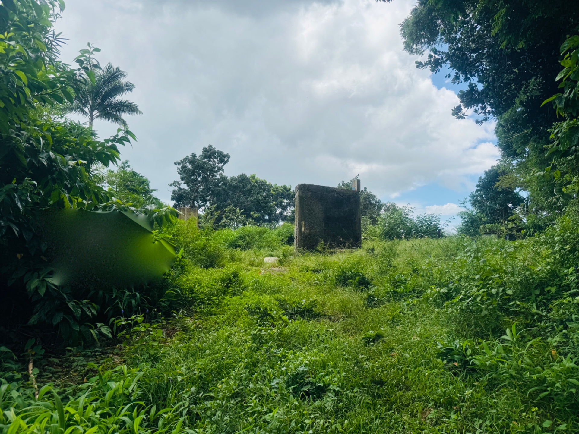 Terrain