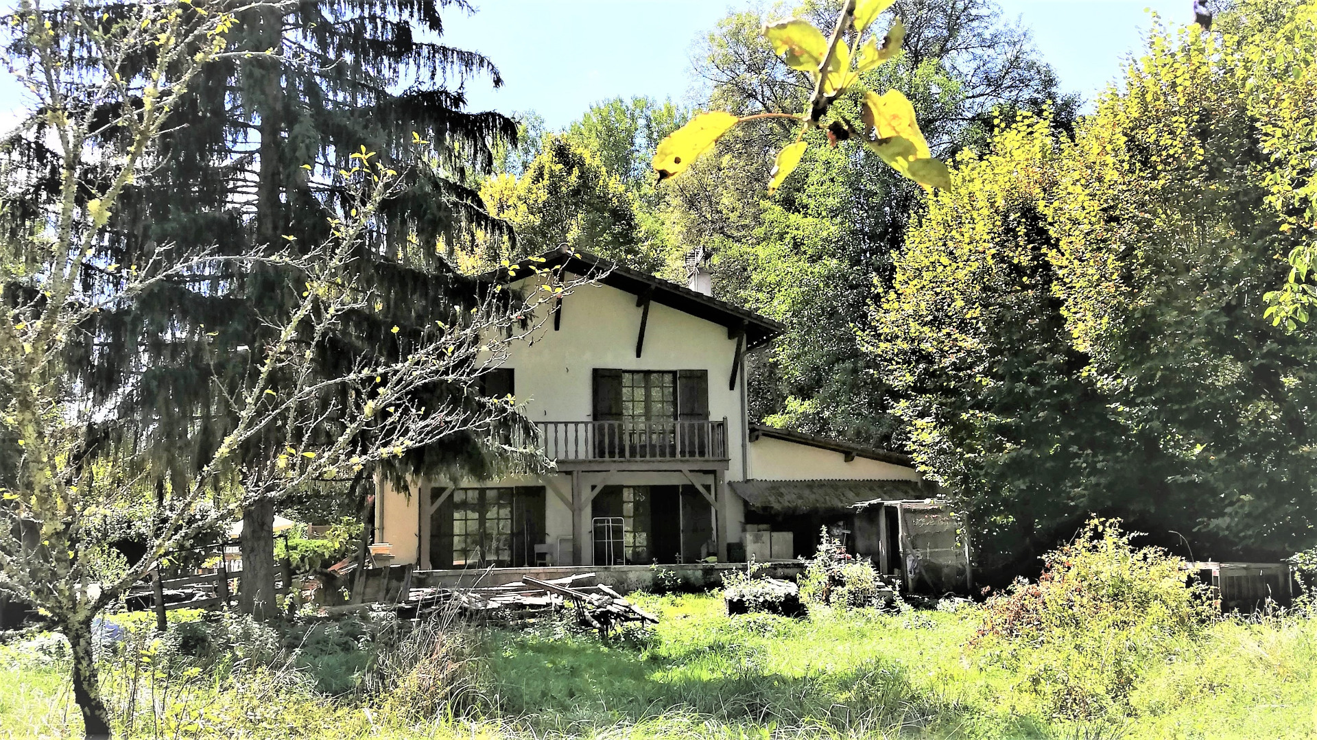 Maison