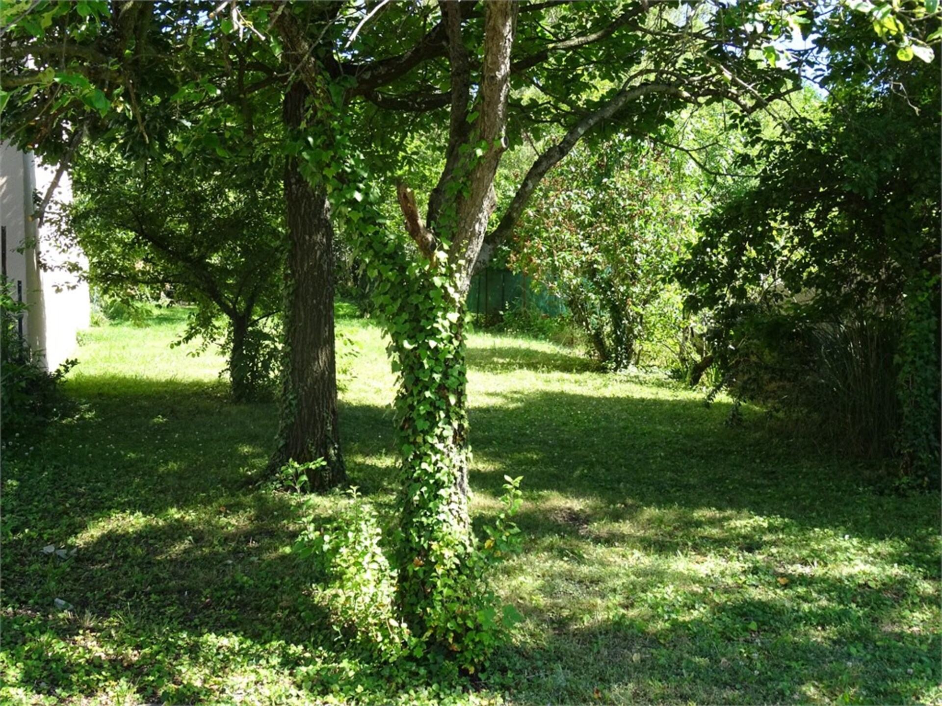 Terrain