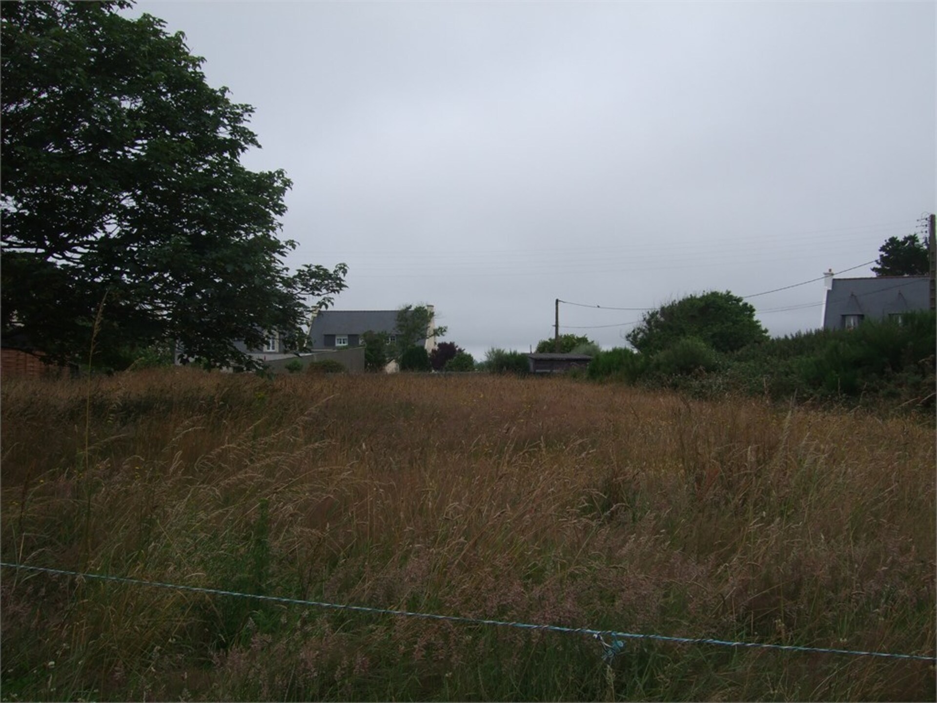 Terrain