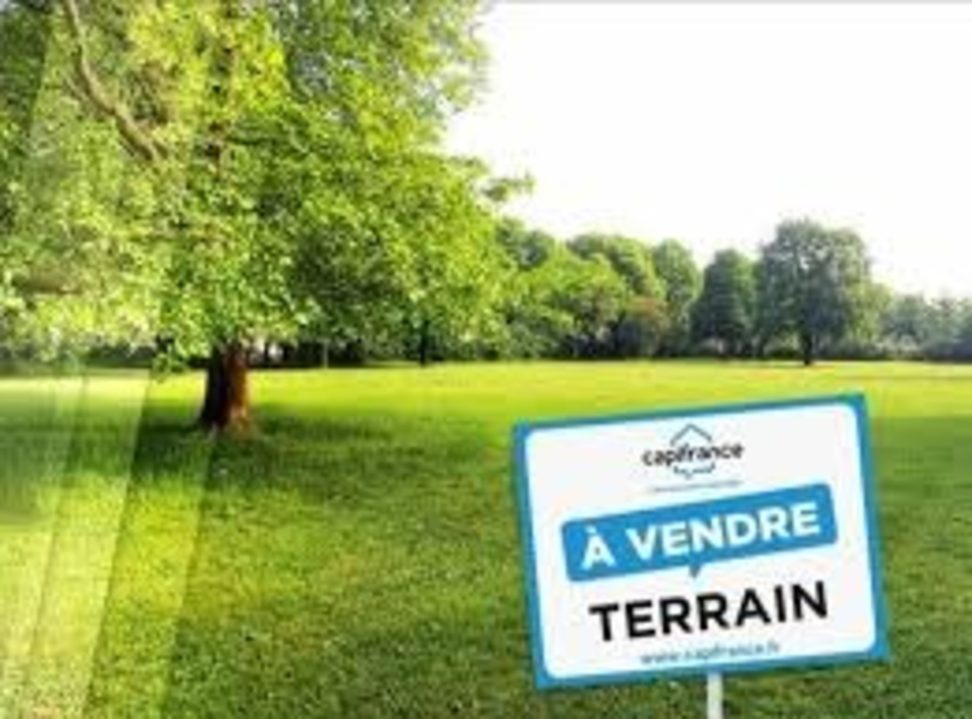 Terrain