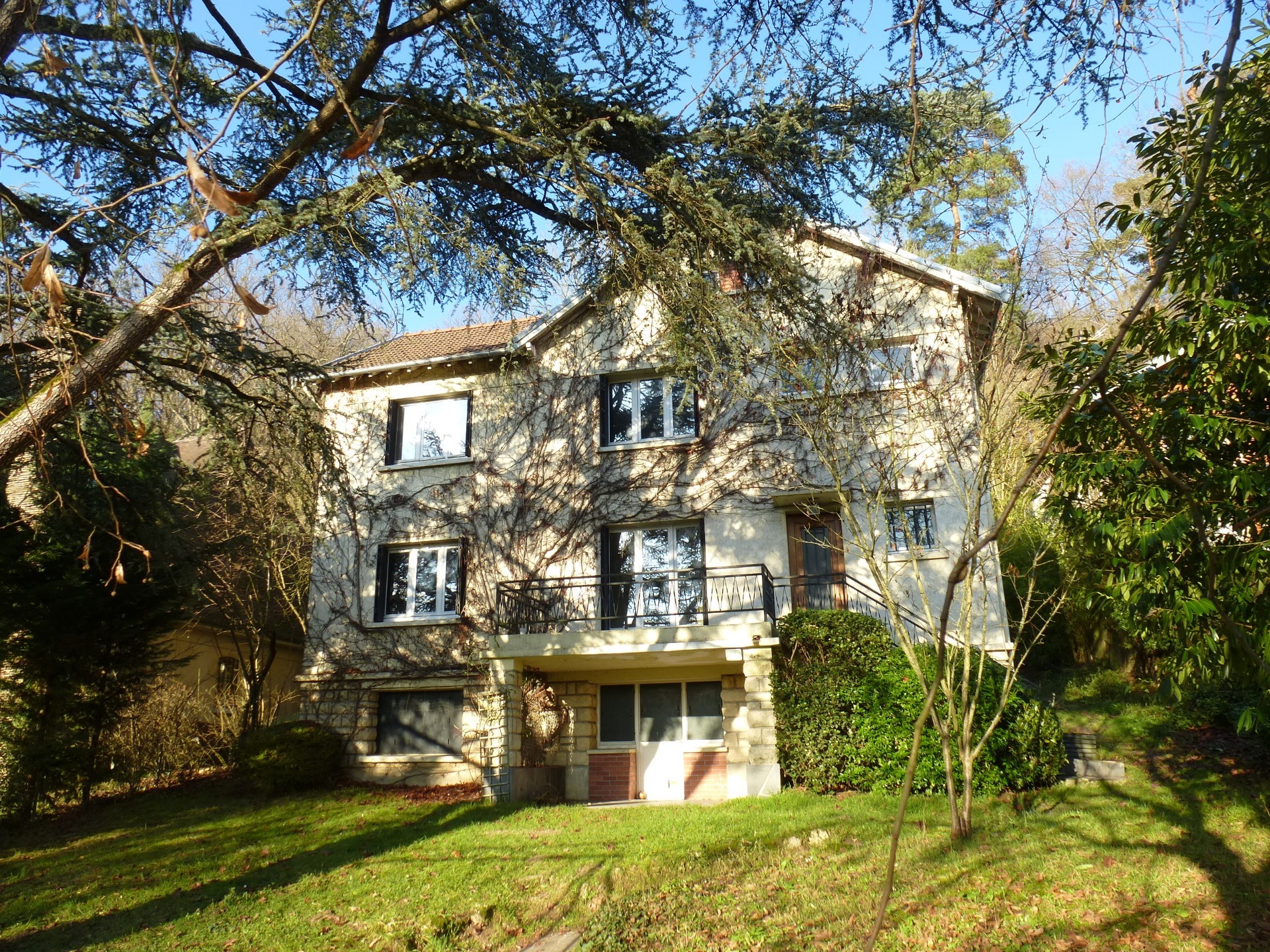 Maison
