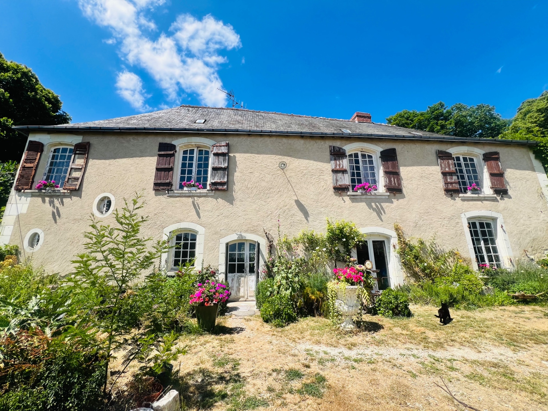 Maison