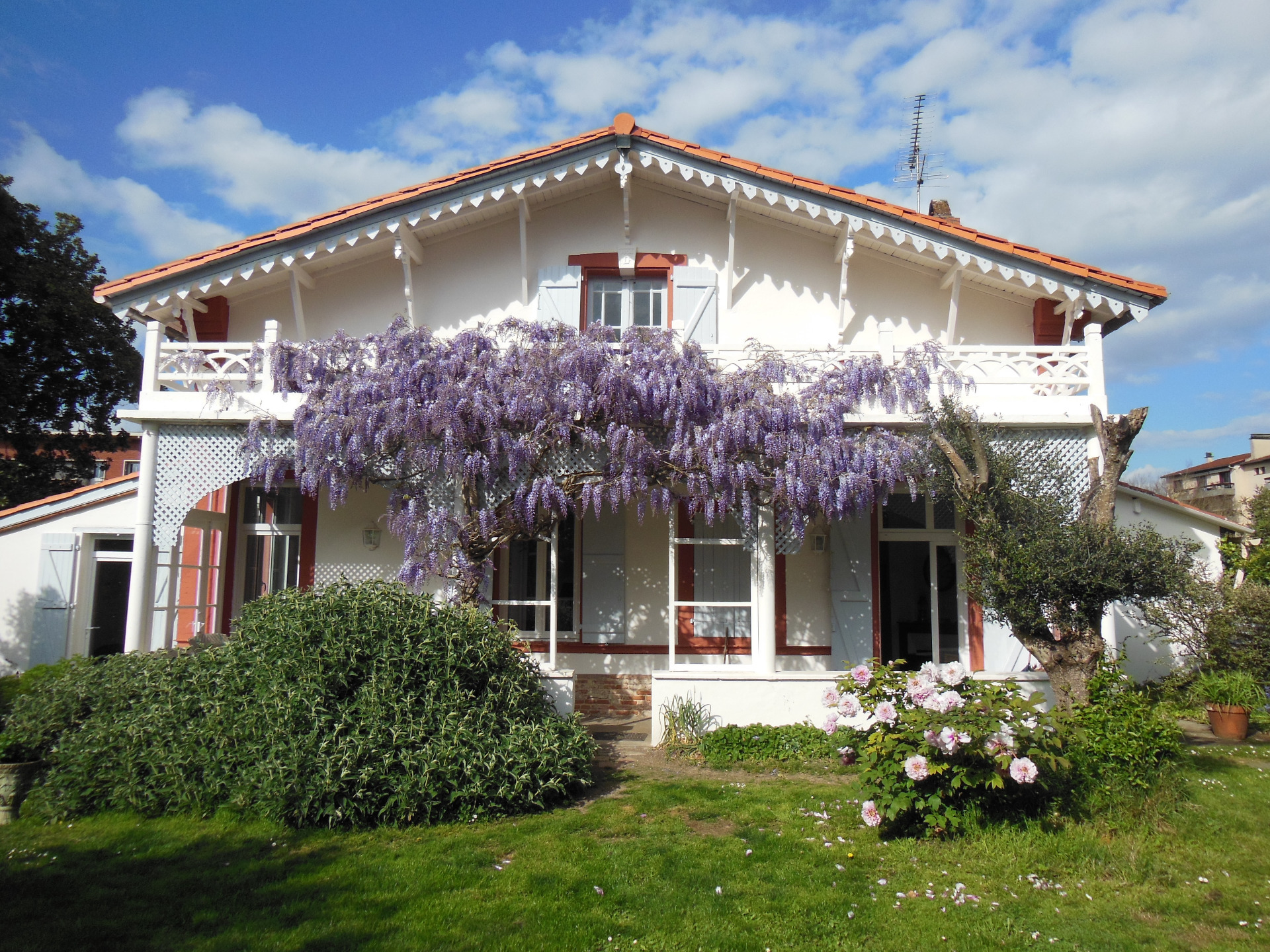 Maison