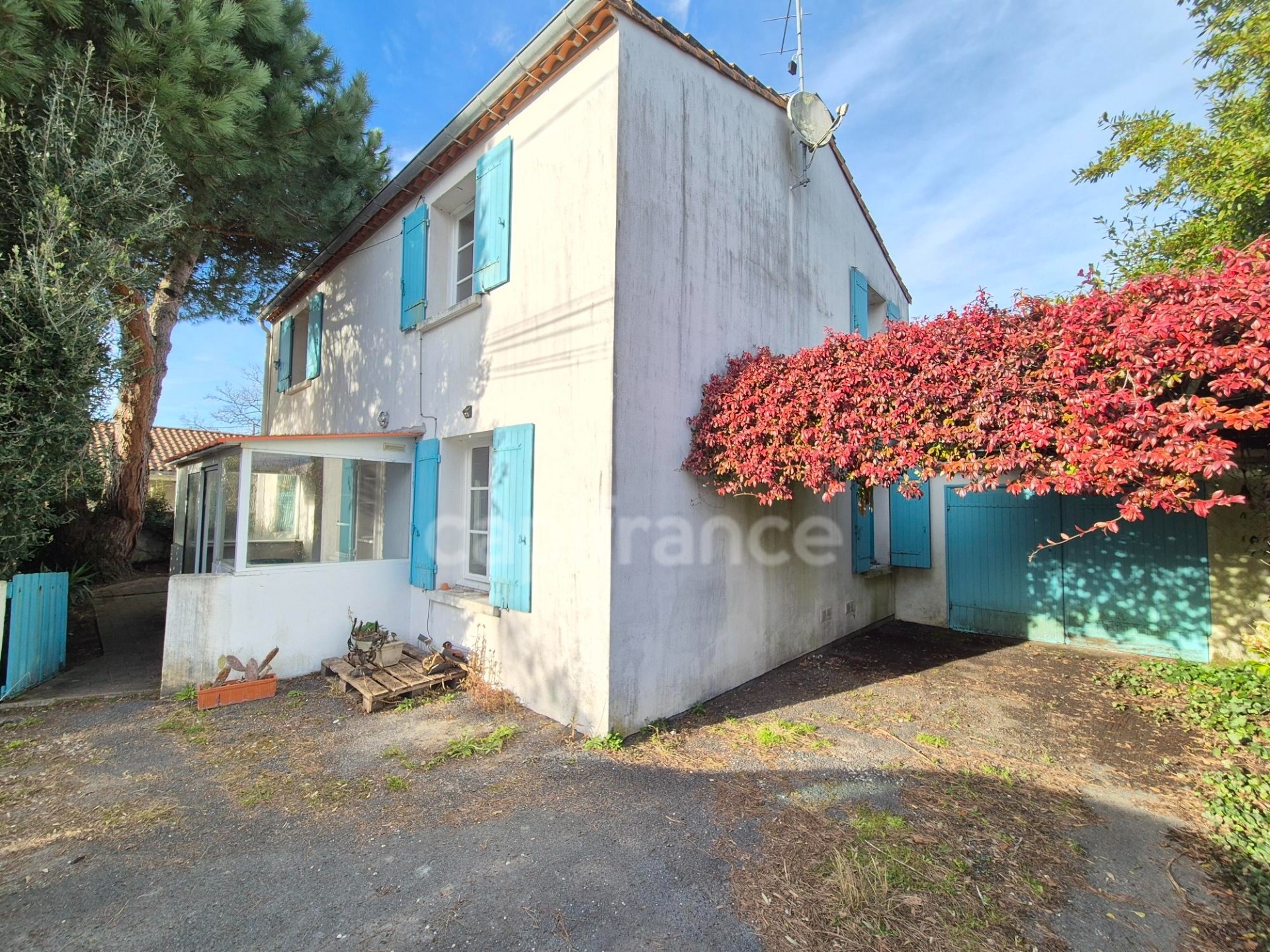 Maison