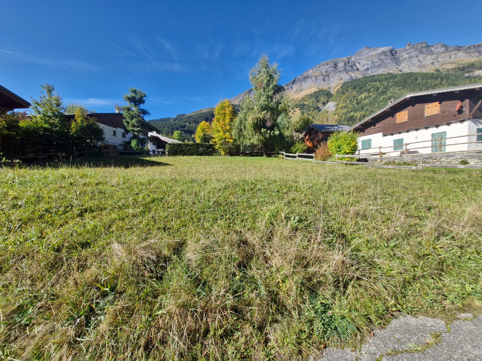 Terrain