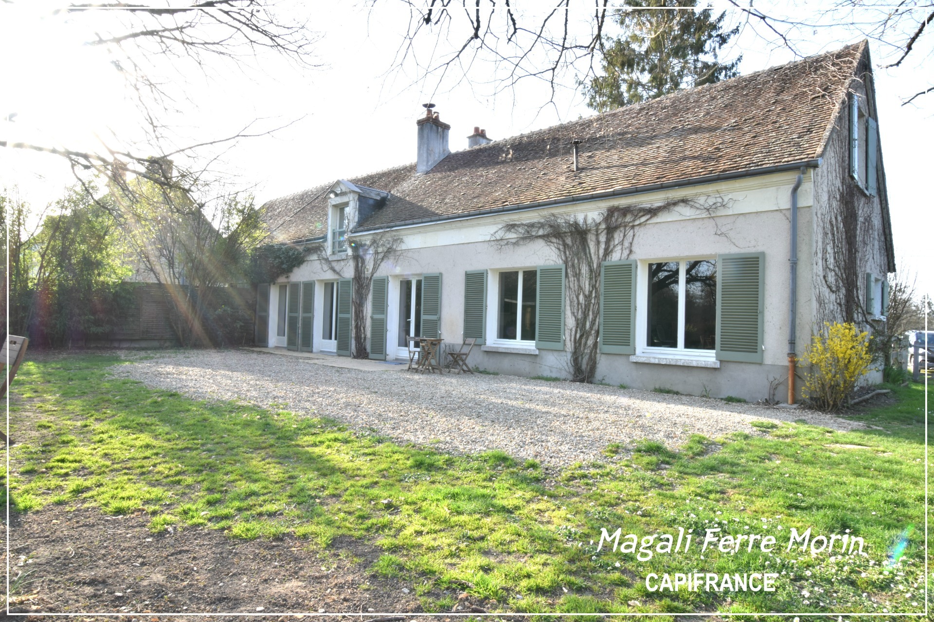 Maison