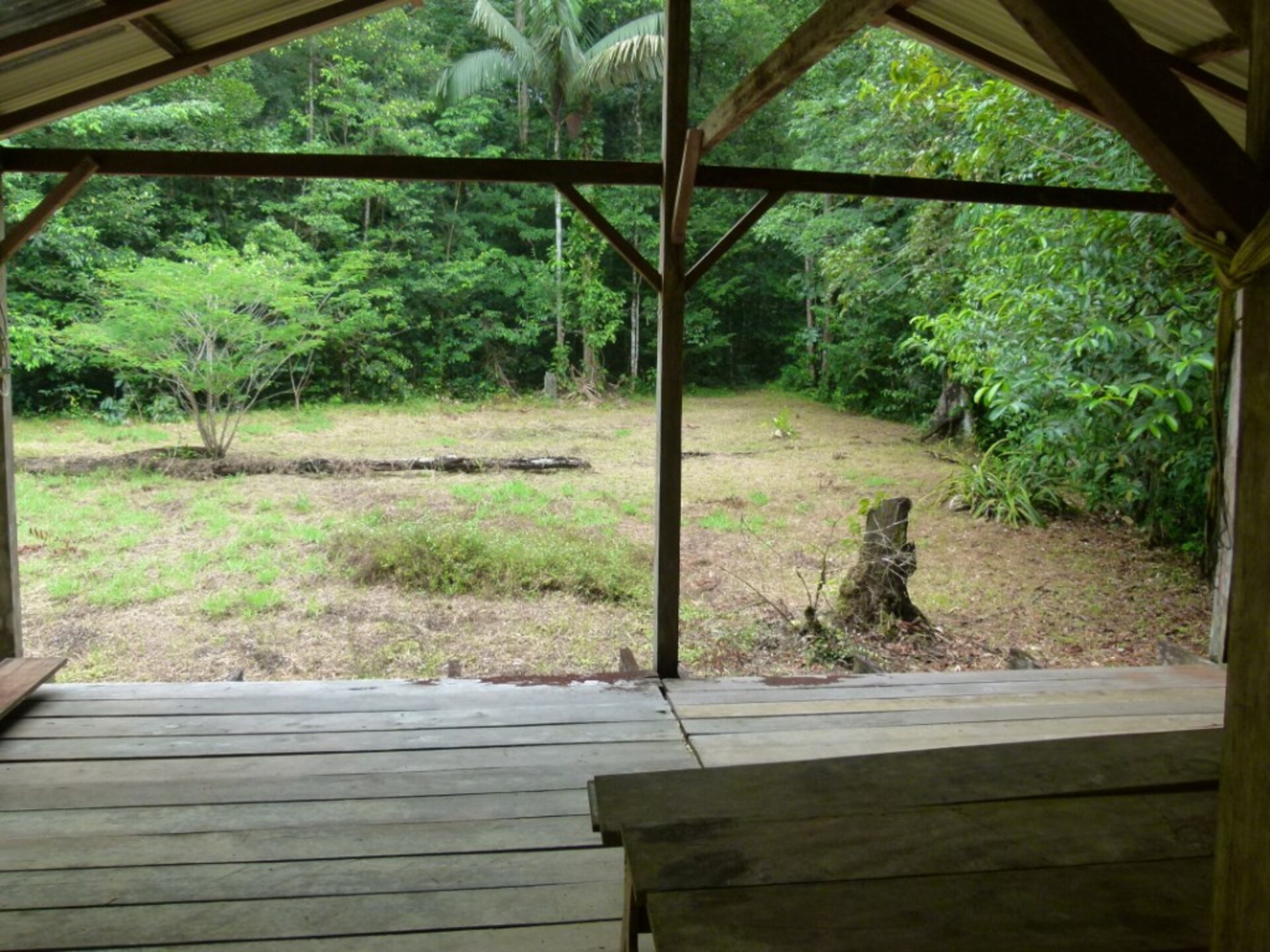 Terrain