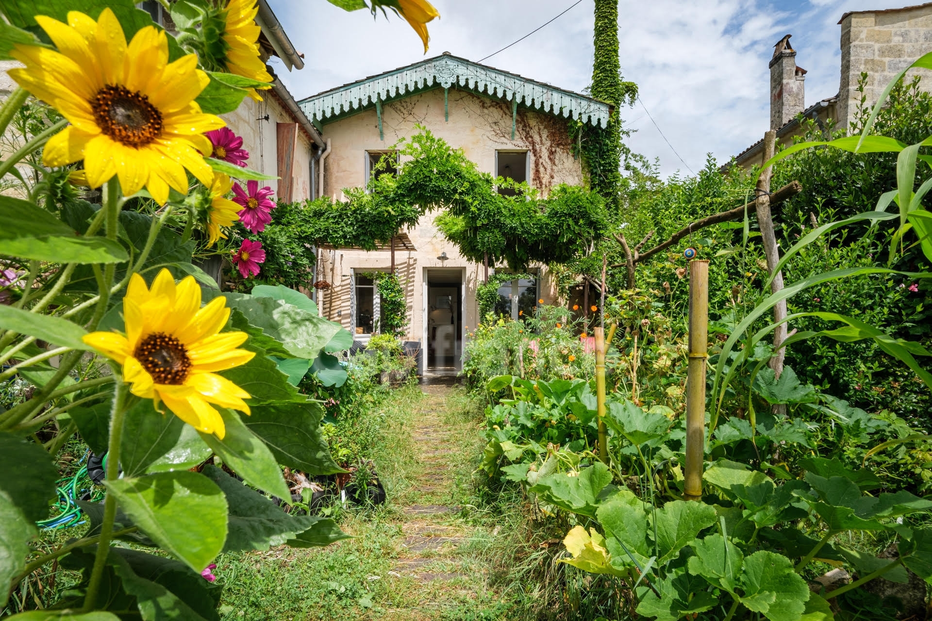 Maison
