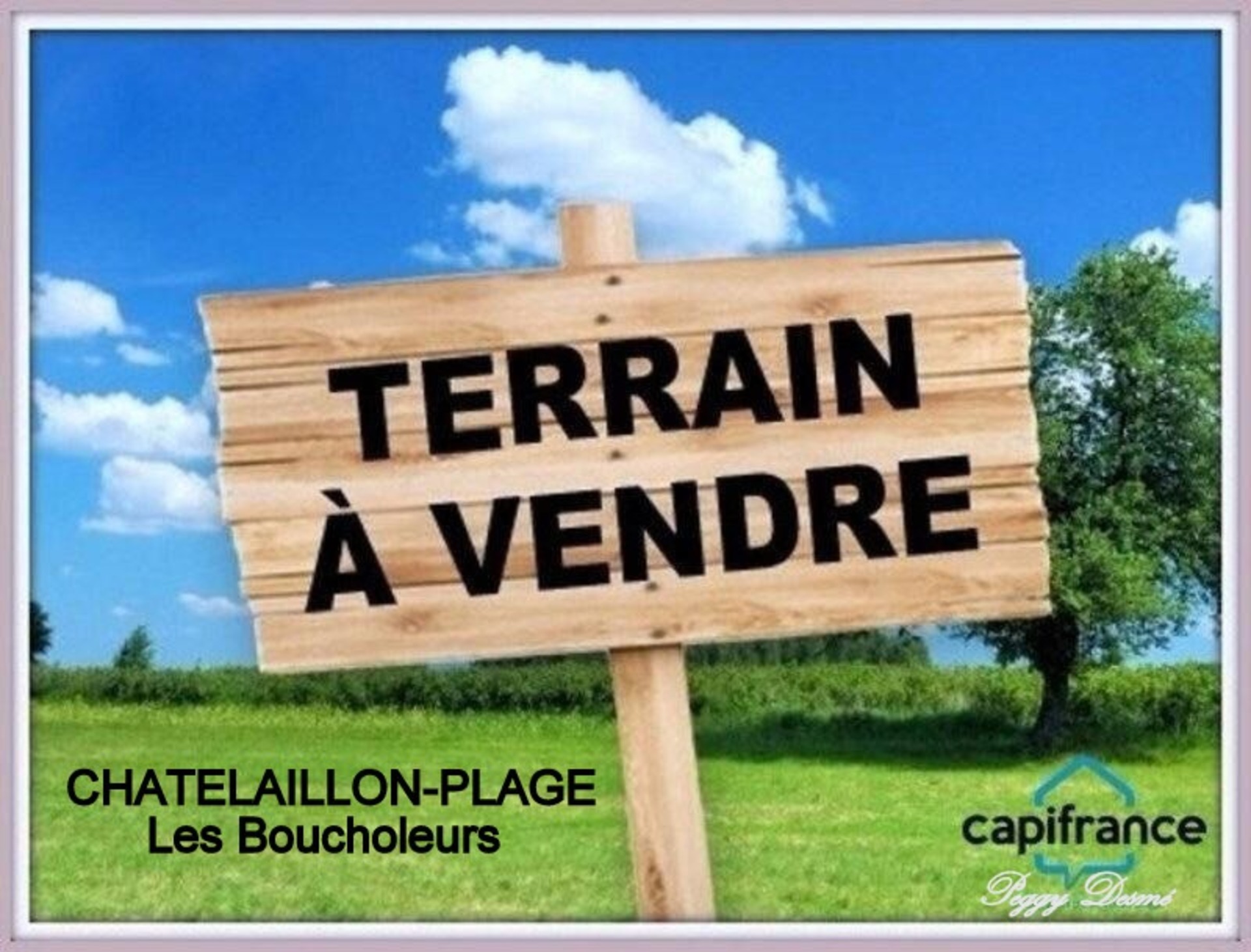 Terrain