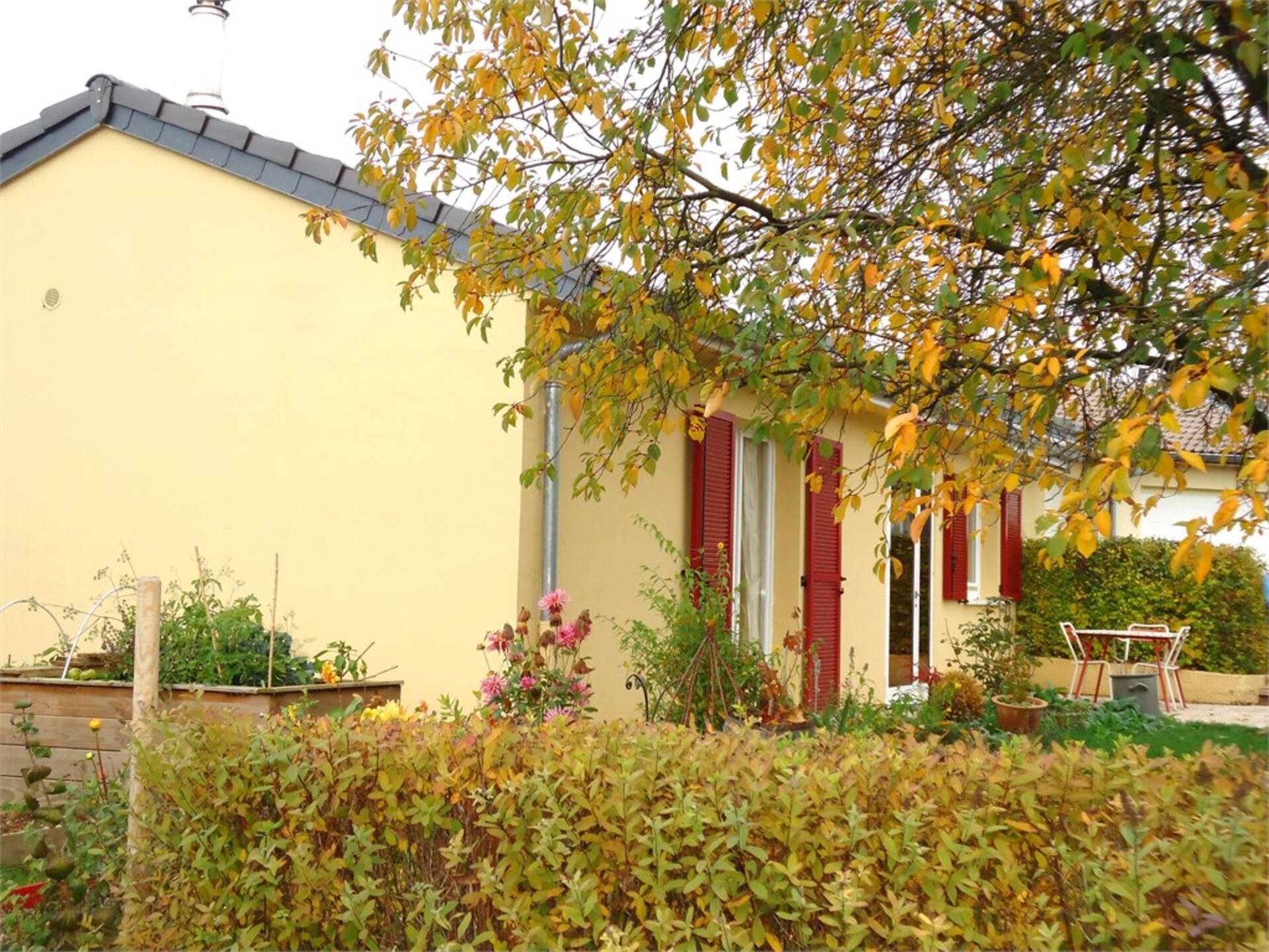Maison