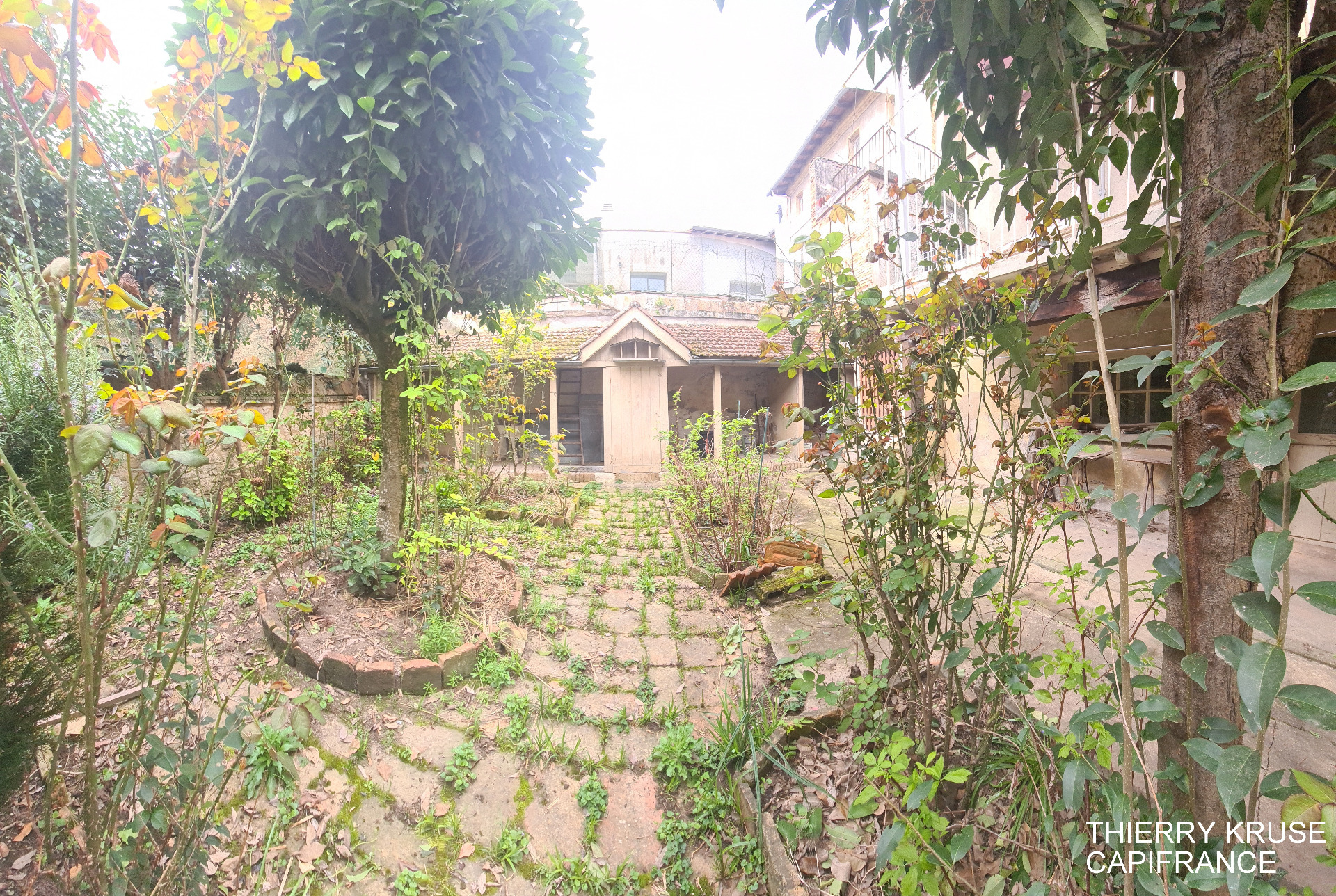 Maison