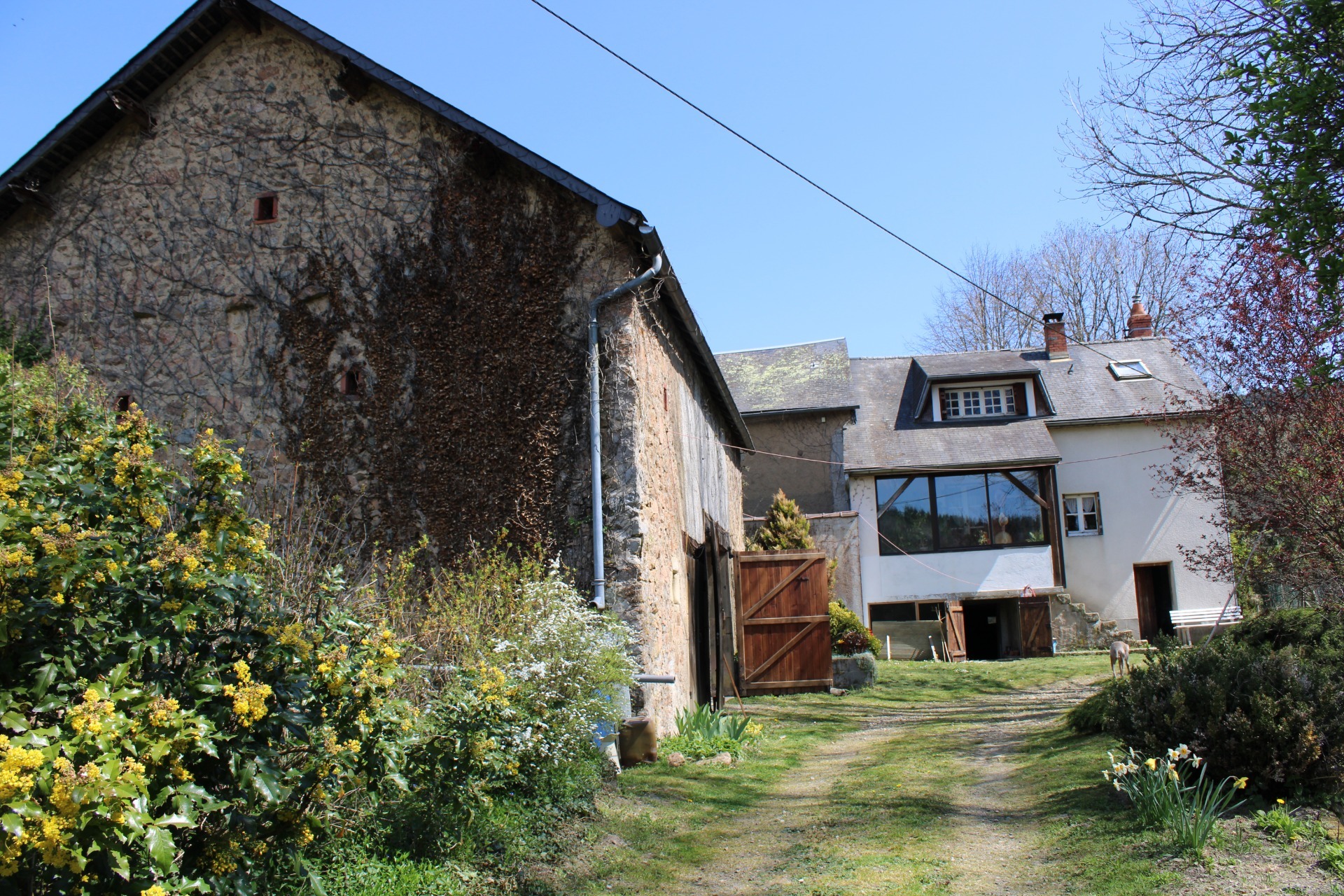 Maison