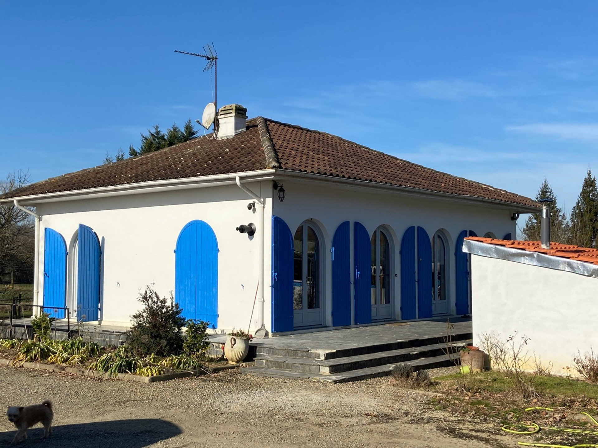 Maison