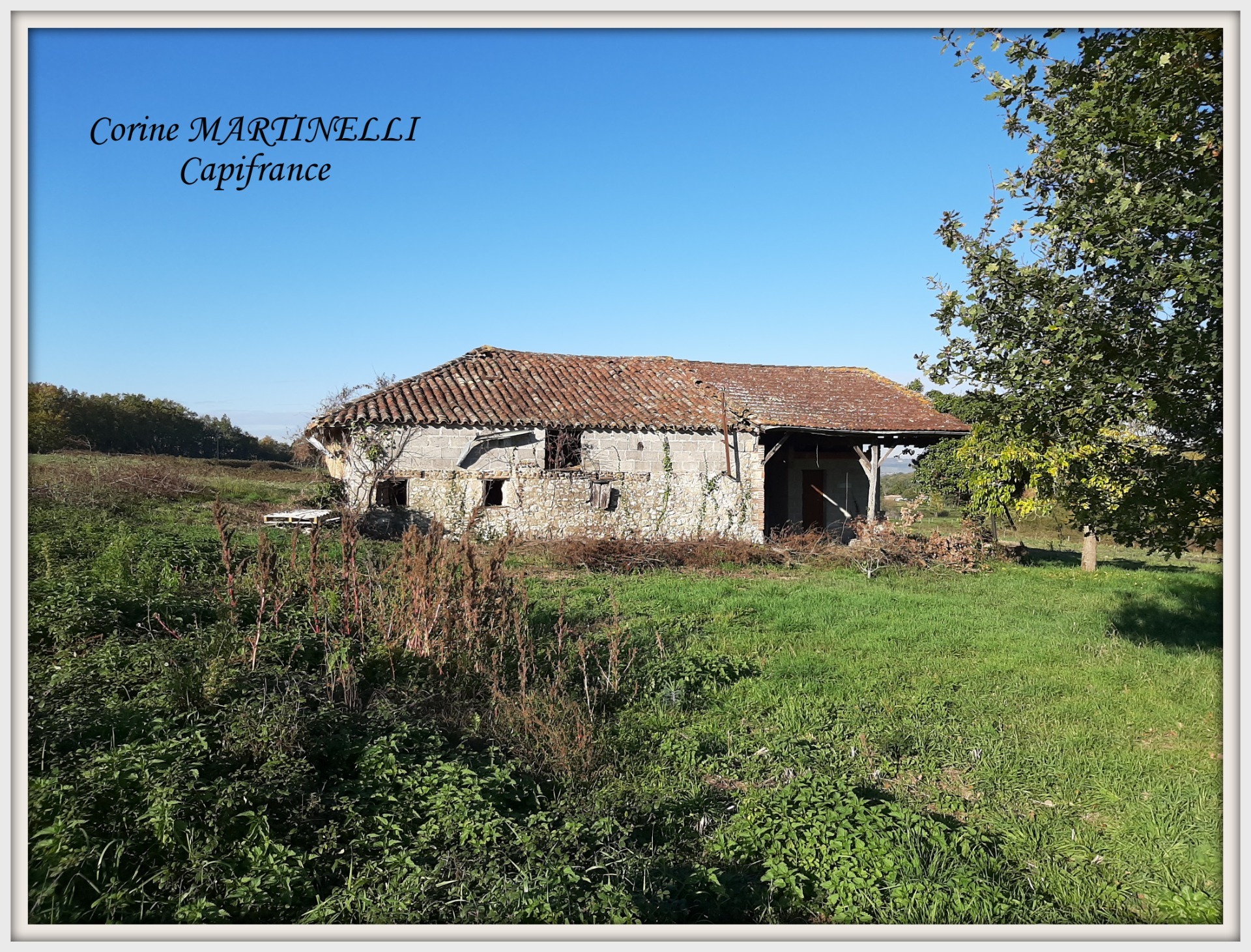 Maison