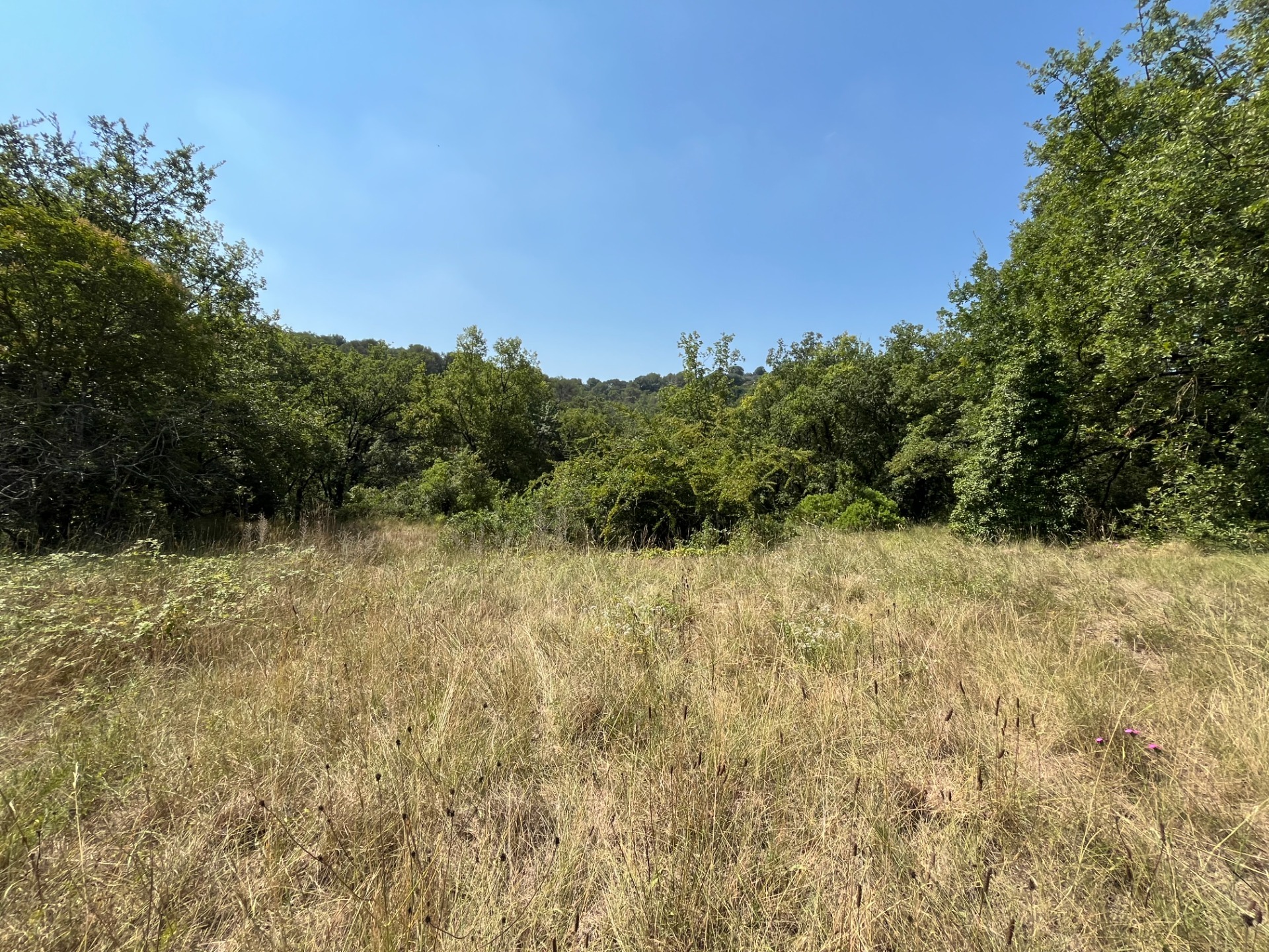 Terrain