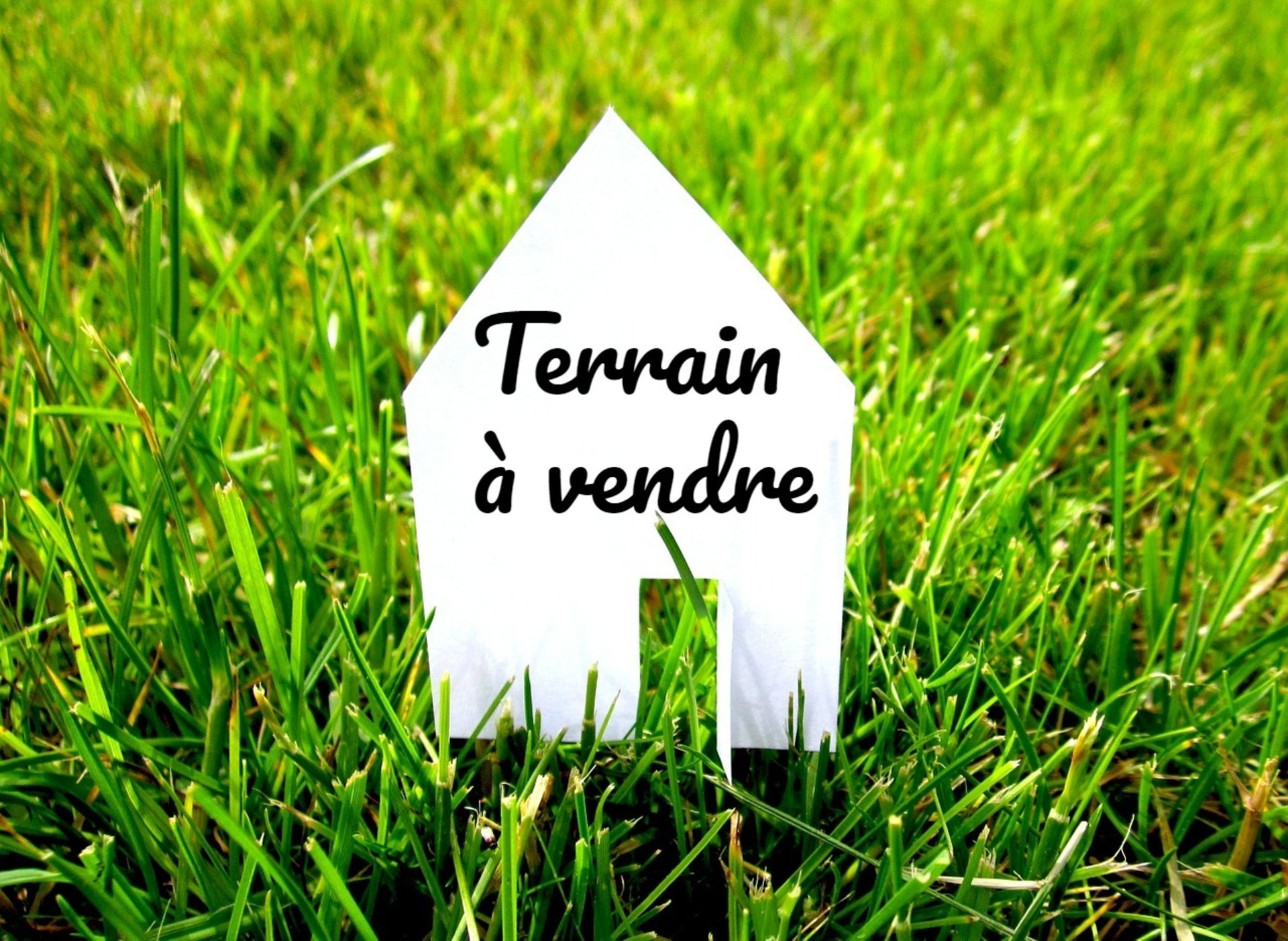 Terrain