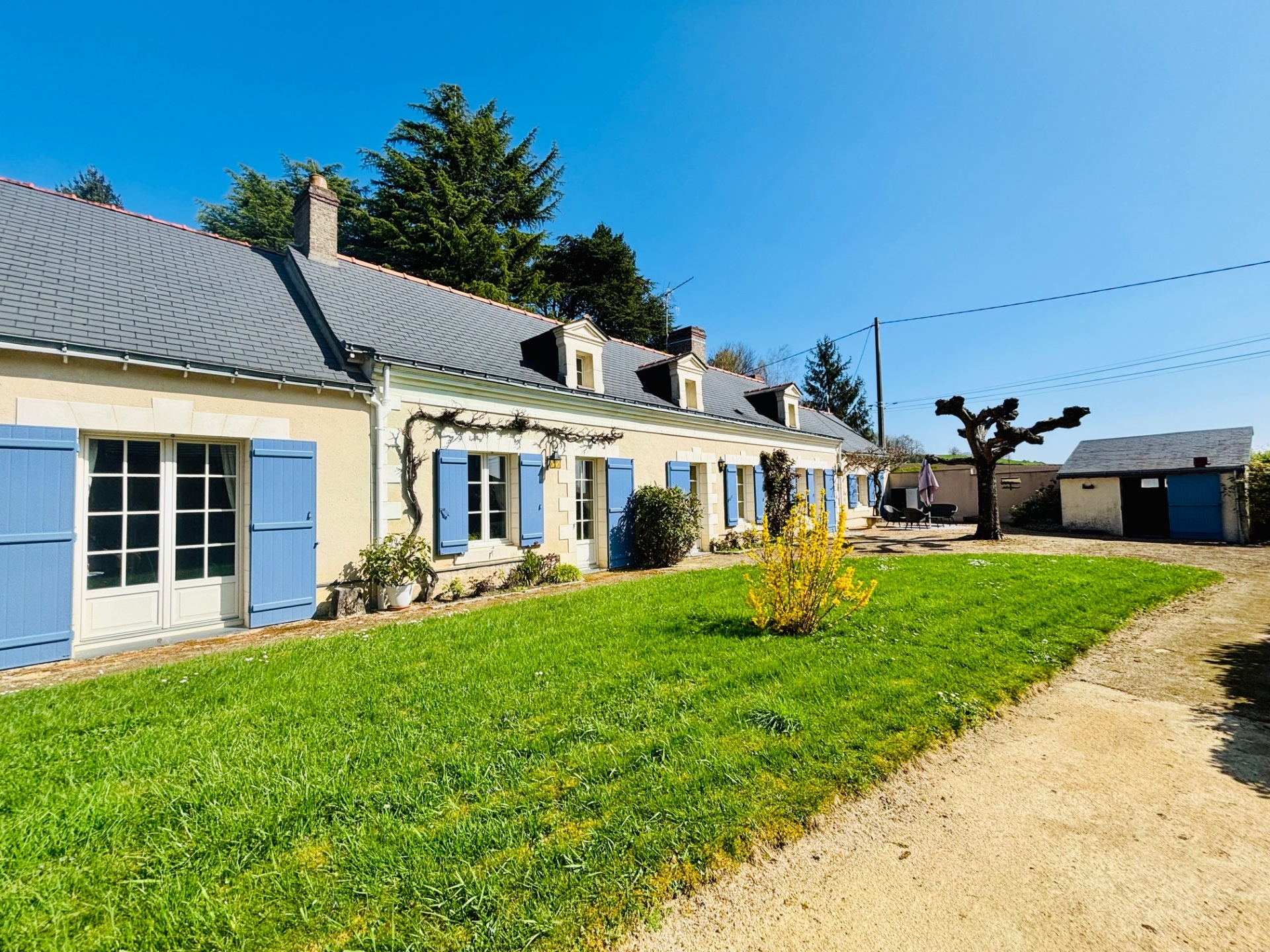 Maison