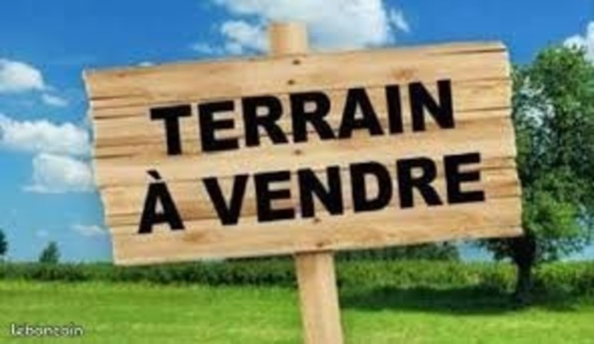 Terrain