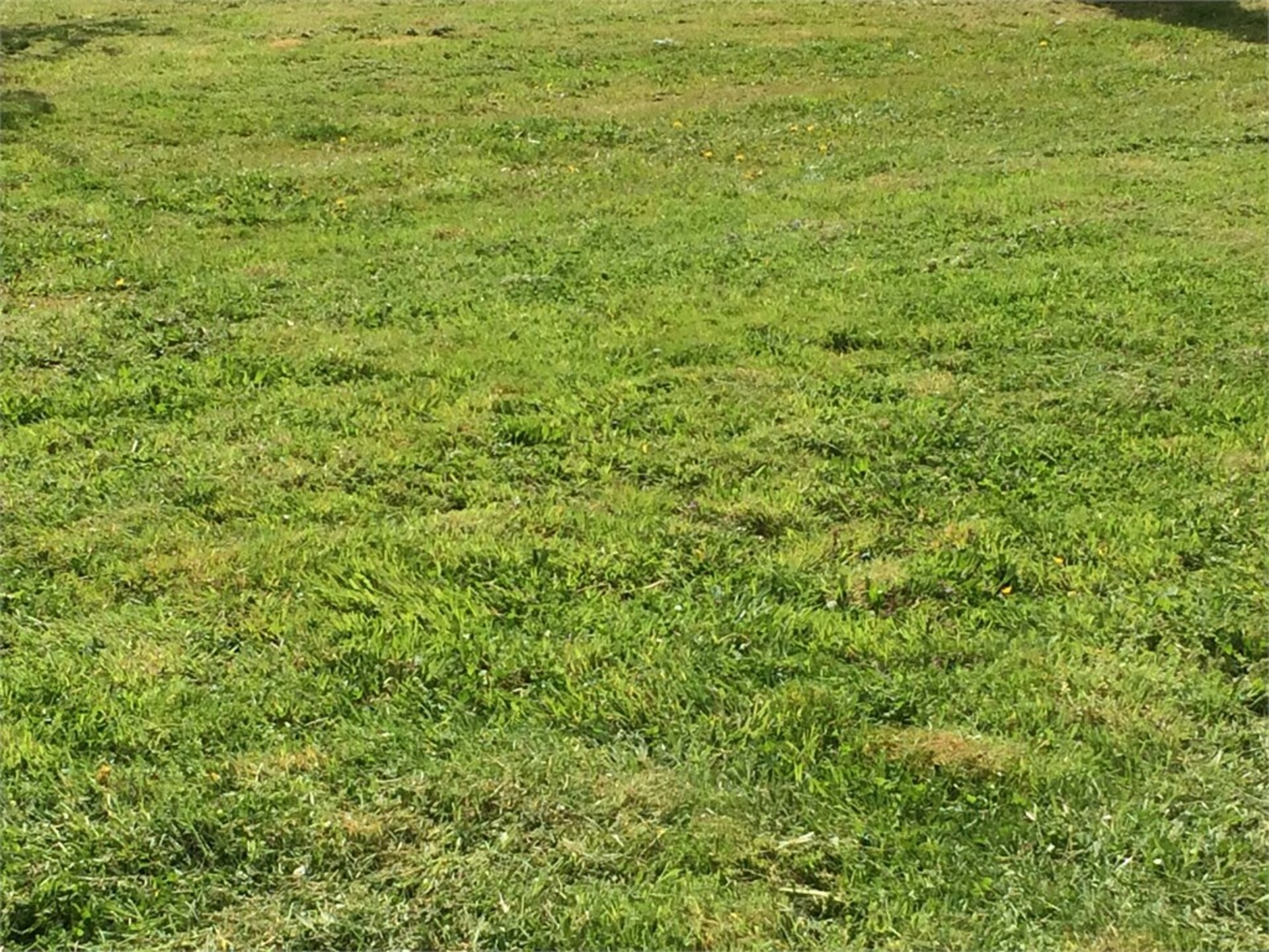 Terrain