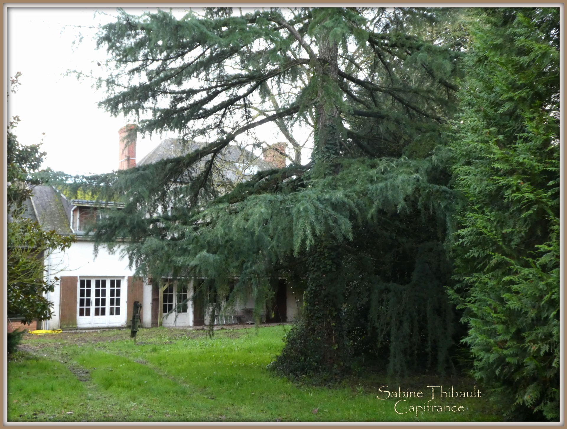 Maison