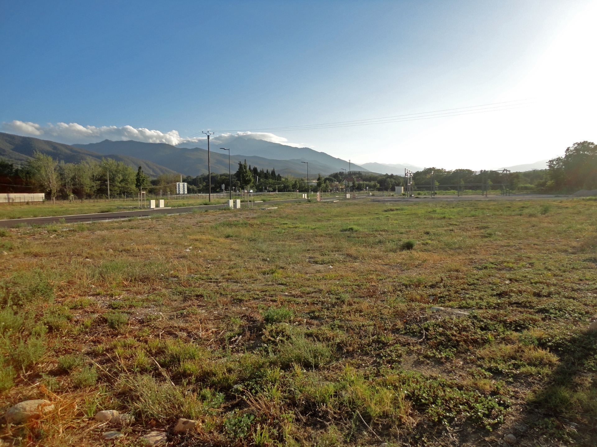 Terrain