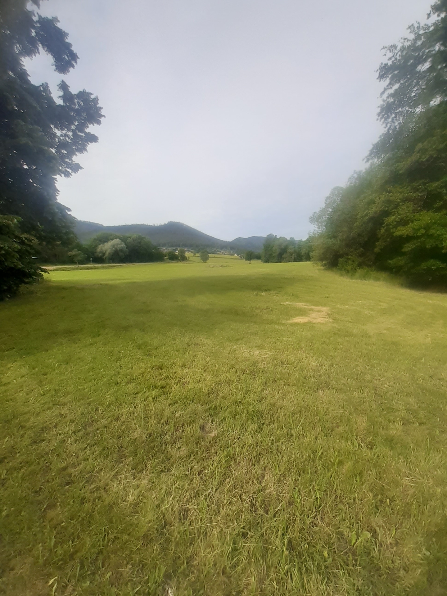 Terrain