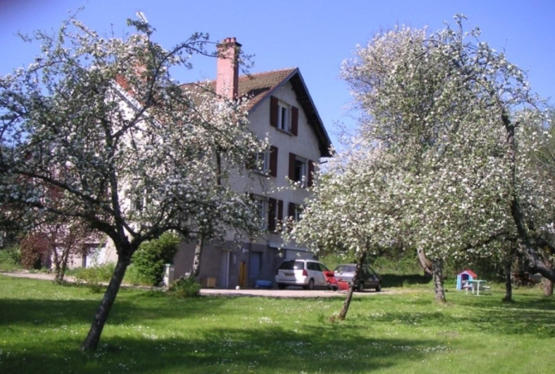 Maison