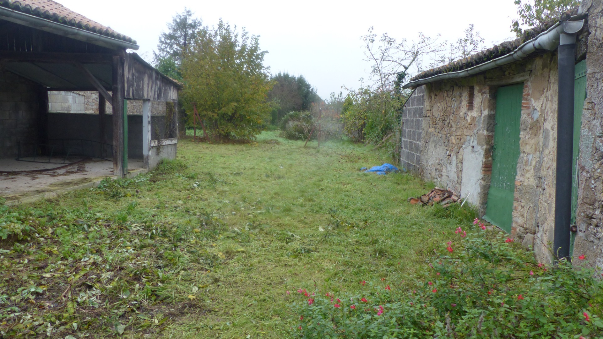 Terrain