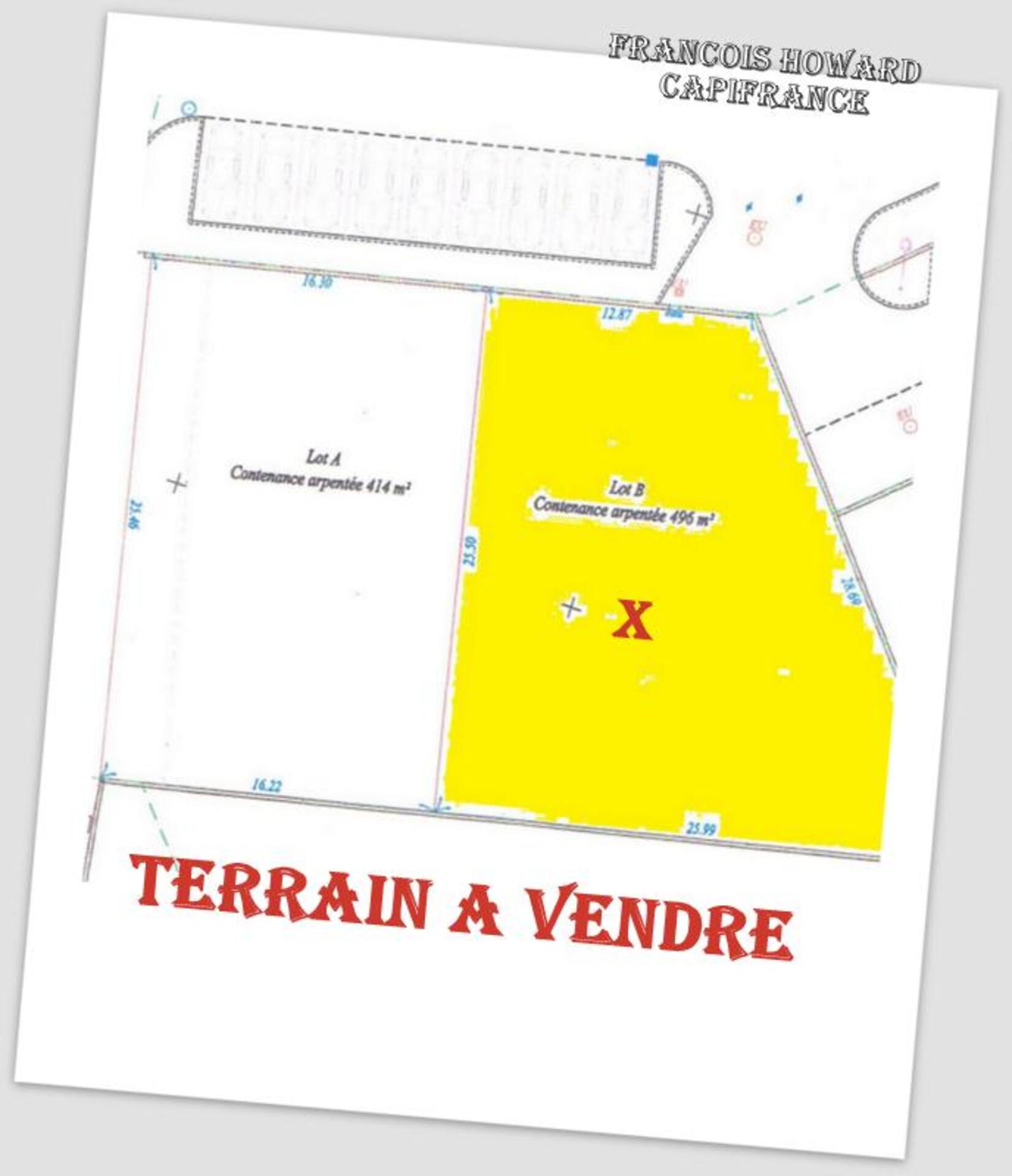 Terrain
