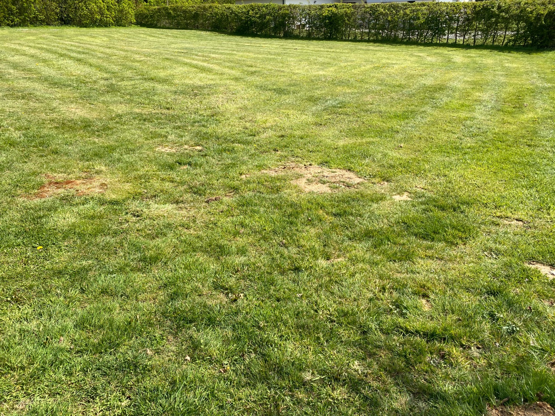 Terrain