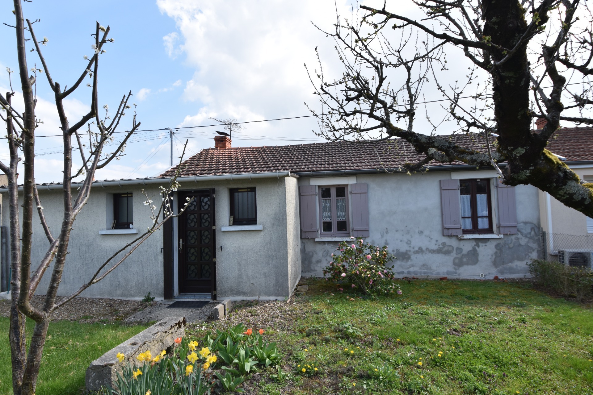 Maison
