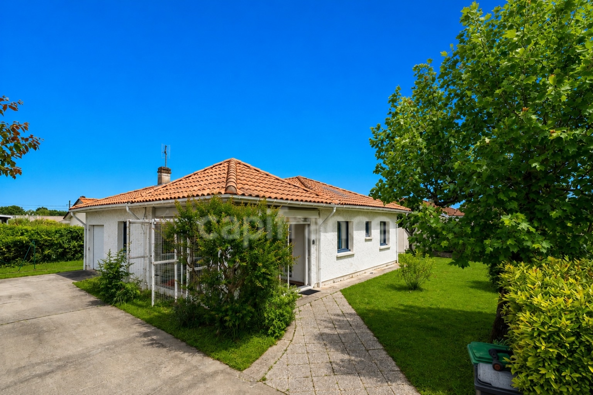 Maison