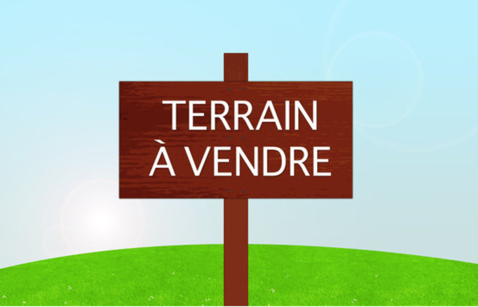 Terrain