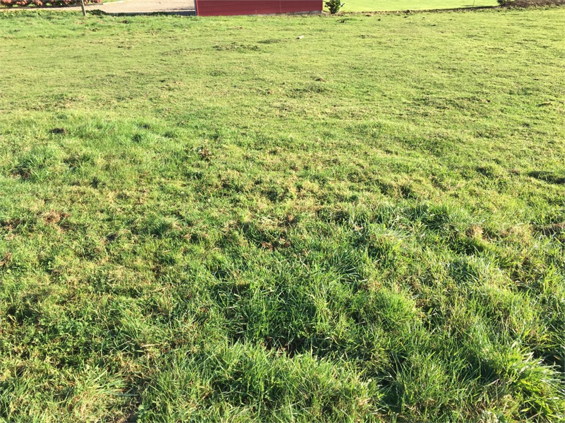 Terrain