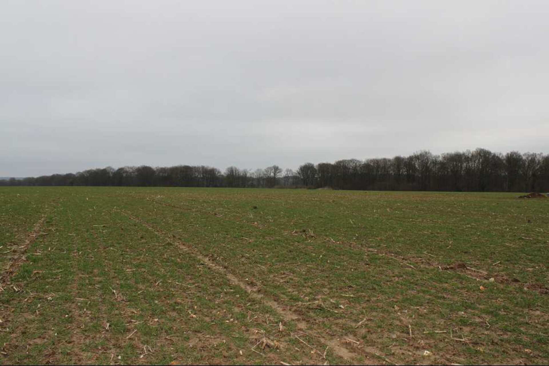 Terrain