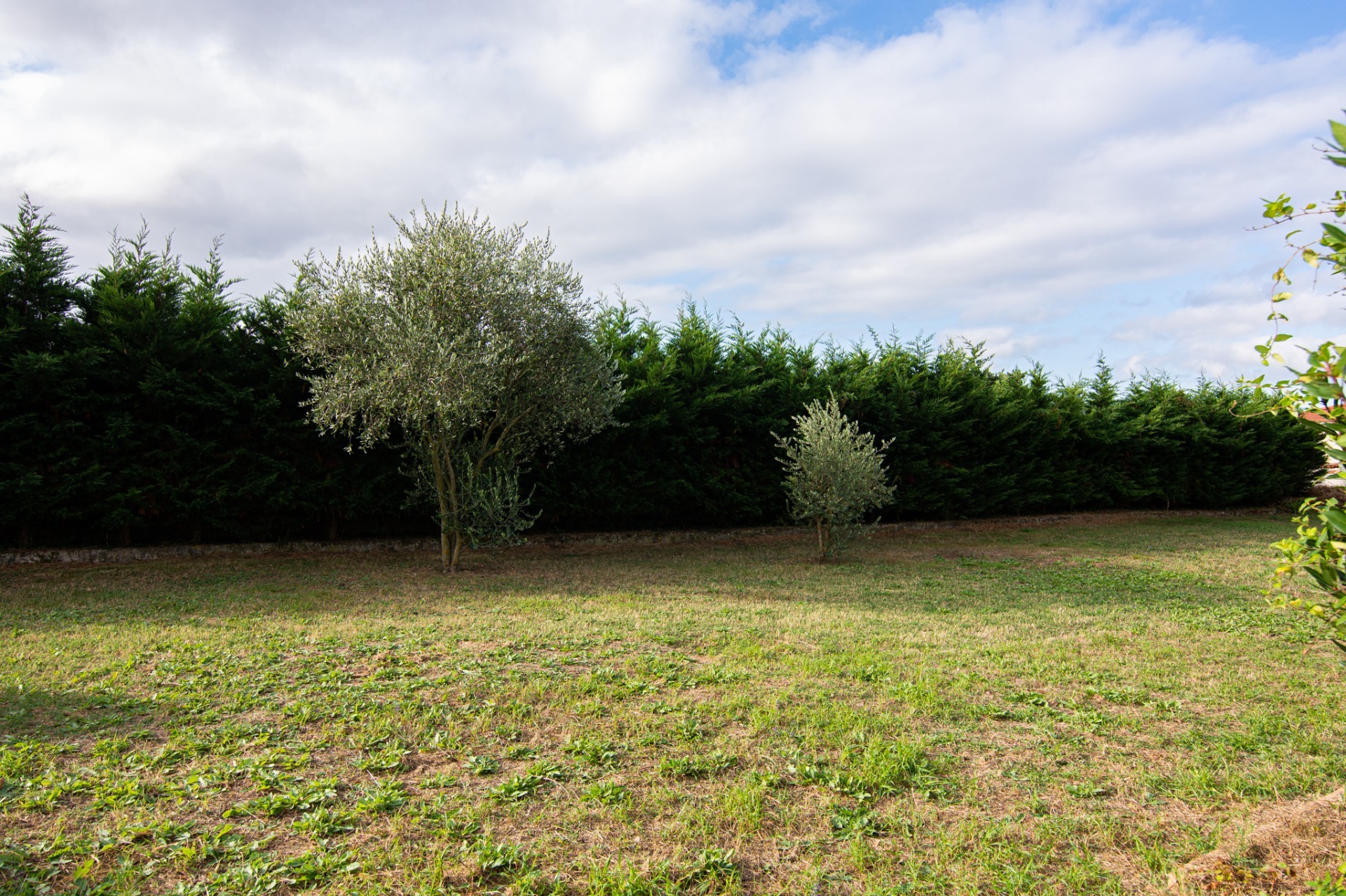 Terrain